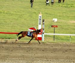 BVI's East End Tap ran away in the featured 10th race. BVI's East End Tap ran away in the featured 10th race.